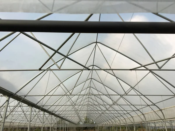農業用温室トンネル プラスチック フィルム カバー または陰としてあられに対して保護のための直線の辺と亜鉛 雲の背景 — ストック写真