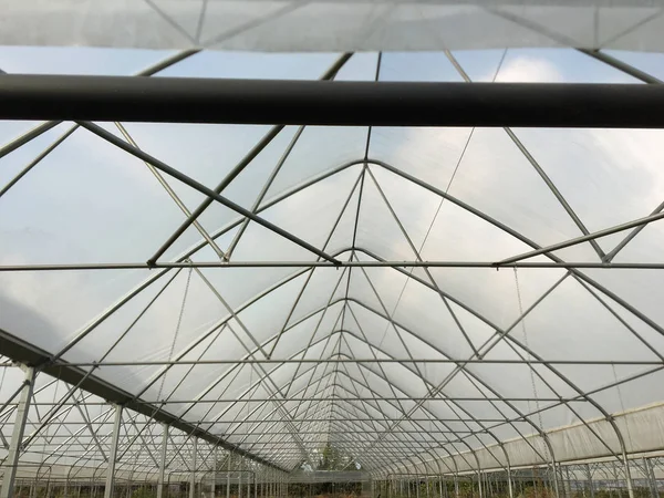 Estufas Túnel Para Agricultura Tubular Galvanizado Com Tampa Filme Plástico — Fotografia de Stock