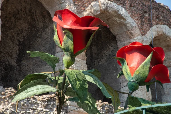 Arenian Scenographies 在意大利维罗纳广场的竞技场外 Scenographic 对象与两个大红色玫瑰与竞技场背景 — 图库照片