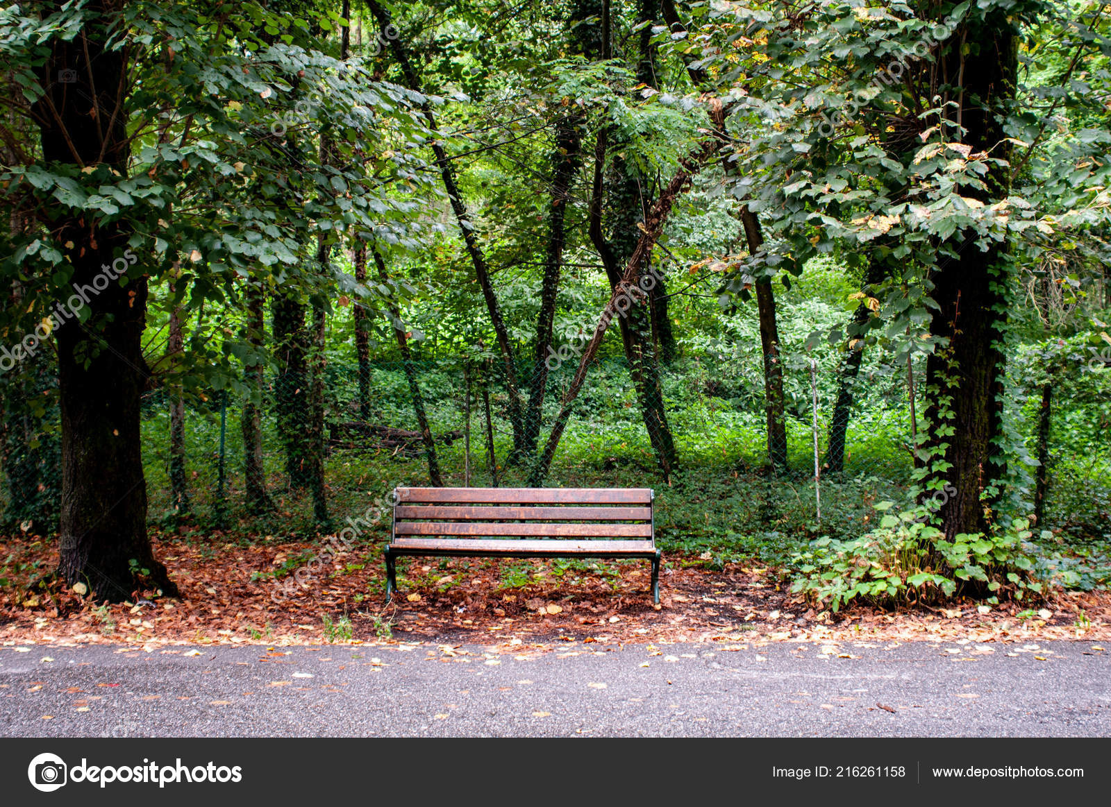 Wooden Bench Autumn Leaves Green Trees Bench Trees Leaves Background Stock  Photo by ©Roza_Sean 216261158