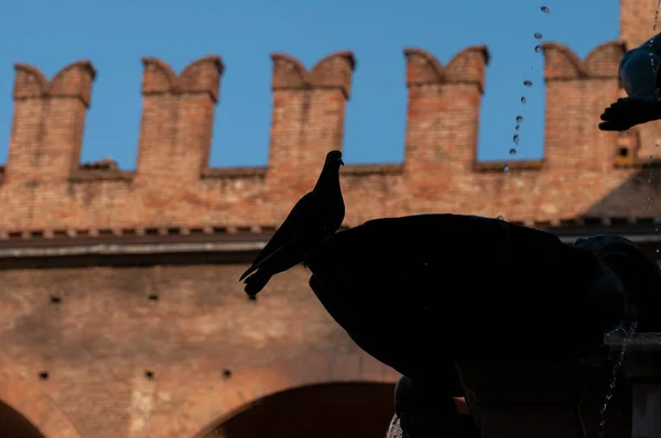 Profile in silhouette of the Fountain of Neptune with pigeon profile in Bologna Italy. In the background medieval battlements of the Re Enzo palace