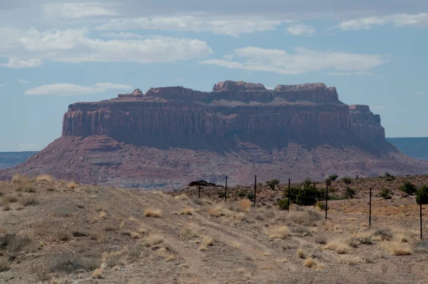 Grand Canyon National Park Stany Zjednoczone Ameryki Arizona Pustyni Sonora — Zdjęcie stockowe