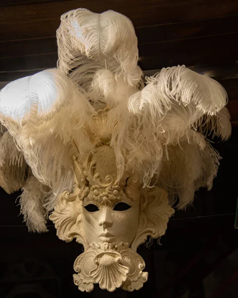 Bela Máscara Carnaval Veneziano Grande Branco Com Grandes Penas Cara — Fotografia de Stock