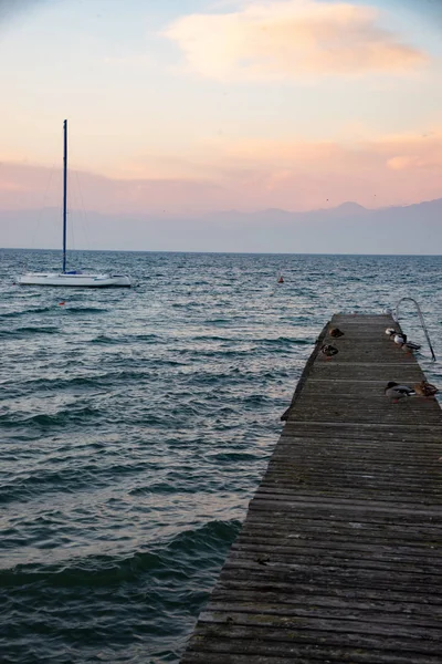 Vecchio Molo Legno Mezzo Lago Con Sopra Degli Uccelli Sole — Foto Stock