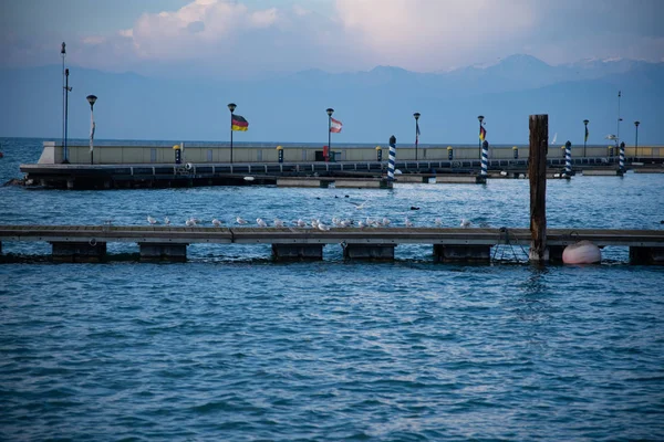 Wooden pier with seagulls and concrete pier for mooring boats on the lake. Beautiful winter sunny day with grazing light. On the pier pontoon flags of different nations.