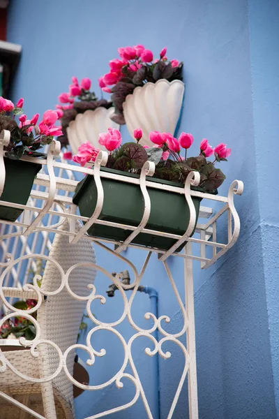 Okna Drzwi Szczegół Kolorowy Malowane Budowa Wyspę Burano Wenecja Wenecja — Zdjęcie stockowe