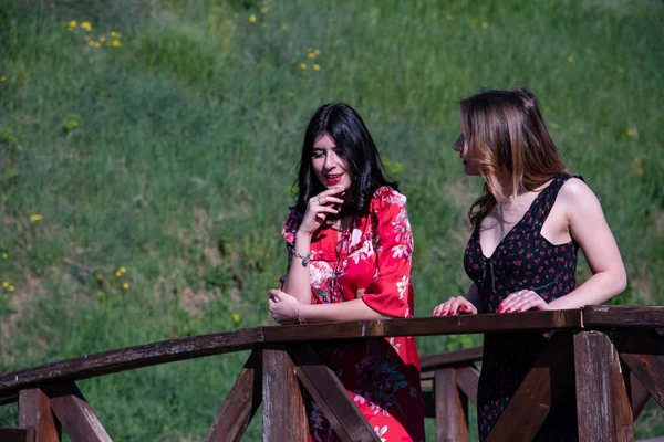 Duas Namoradas Femininas Uma Ponte Madeira Longo Das Margens Riacho — Fotografia de Stock