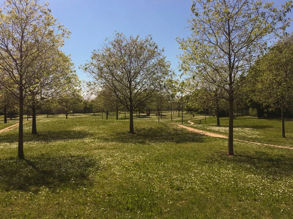 Vista Panorámica Del Jardín Público Verona Italia Gran Parque Público — Foto de Stock