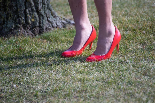 Nogi Kobietą Czerwone Buty Trawie Drzewo Bok Koncepcja Kobiecej Zmysłowości — Zdjęcie stockowe