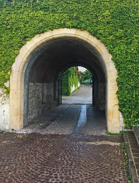常春藤盖住了一条隧道路的入口 — 图库照片