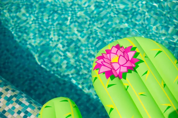 Cactus inflado colorido flotando en una refrescante piscina azul — Foto de Stock