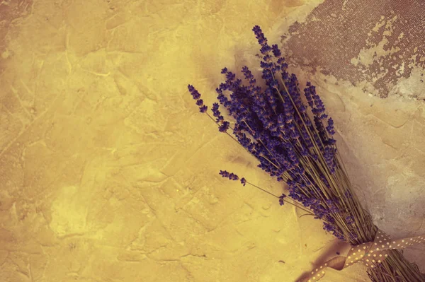 Lavender λουλούδια, μπουκέτο, επιβάρυνση λευκό εκλεκτής ποιότητας φόντο — Φωτογραφία Αρχείου