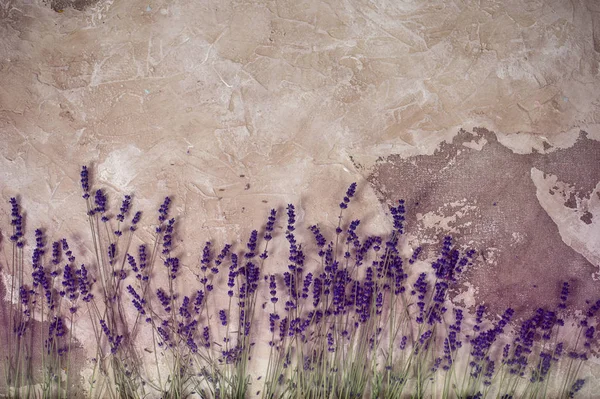 Buquês de lavanda em uma mesa de madeira vista superior — Fotografia de Stock