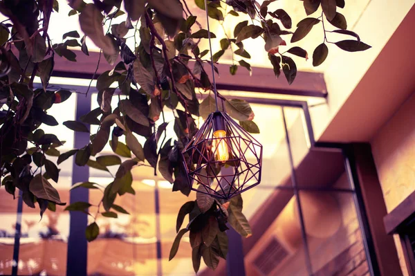 Moderne Innenbeleuchtung hängt im Café — Stockfoto