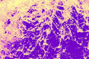 Siyah arka plan üzerine izole koleksiyon su sıçramalarına