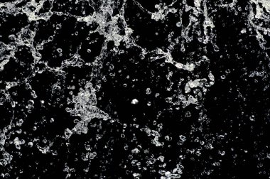 Siyah arka plan üzerine izole koleksiyon su sıçramalarına