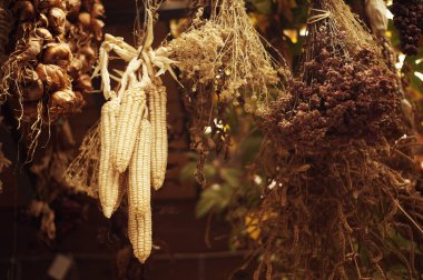 kuru otlar sonbahar güneşli öğleden sonra tavanda bir ahır ya da verandada asılı demet