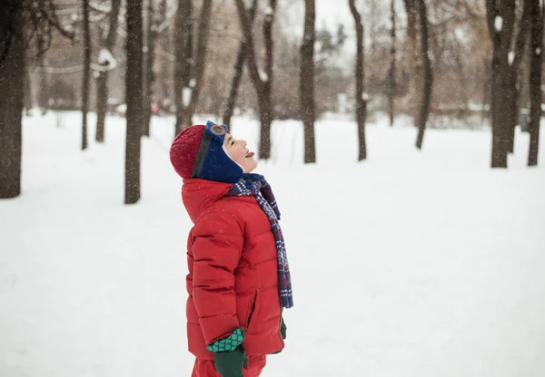 Gelukkige jongen vangsten sneeuwvlokken mond — Stockfoto