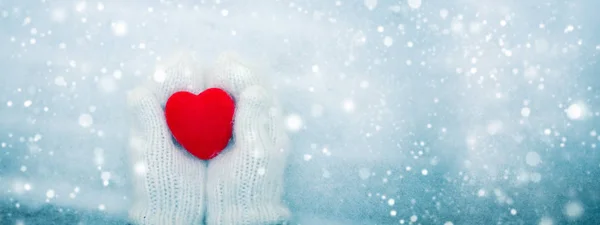 Rood hart in dames handen dragen witte wollen wanten. Valentines Day concept — Stockfoto