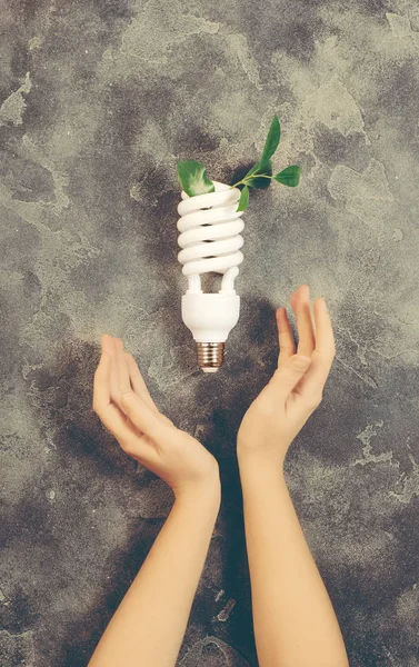 eco bulb energy saving concept