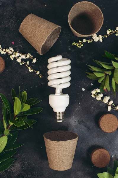 eco bulb energy saving concept