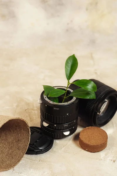 Growing green plants in used old photo camera lens and reuse recycle eco concept