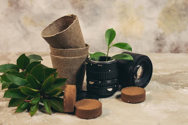 Growing green plants in used old photo camera lens and reuse recycle eco concept