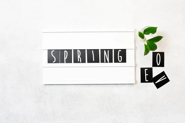 Top view flat lay Spring word on lightbox — Stock Photo, Image