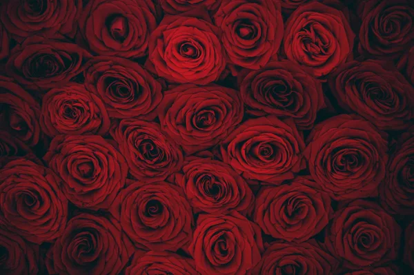Κλείνω Πάνω Θέα Του Κλαρέ Τριαντάφυλλα Μπουκέτο Κόκκινα Τριαντάφυλλα Φόντο — Φωτογραφία Αρχείου