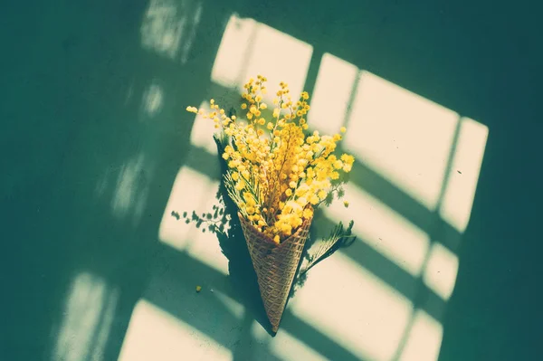 Mimoza çiçek üstten görünüm demet — Stok fotoğraf