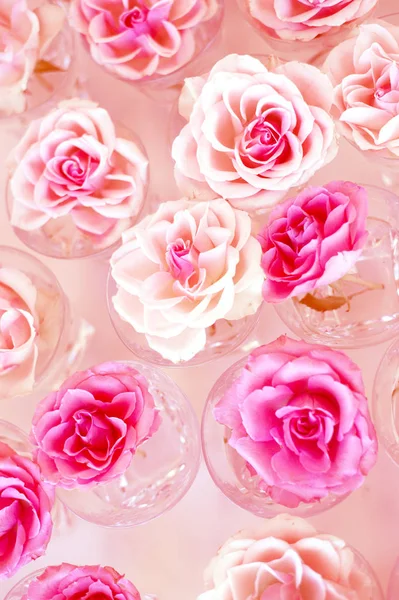 Rosas de cor doce em estilo suave para fundo — Fotografia de Stock