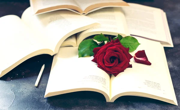 Винтажная книга и роза на фоне доски — стоковое фото