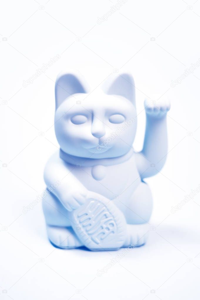 Japanese lucky cat on white background