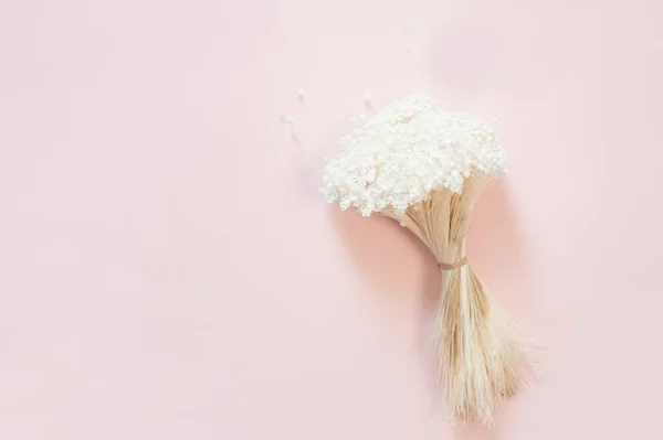 Platte-lay van witte bloesem bloemen over licht roze achtergrond, bovenaanzicht, kopieer ruimte. — Stockfoto