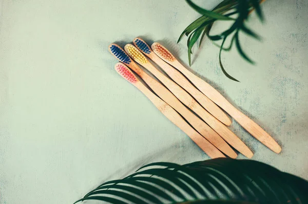 4 bamboe tandenborstels over groene achtergrond en groene Palm blad — Stockfoto
