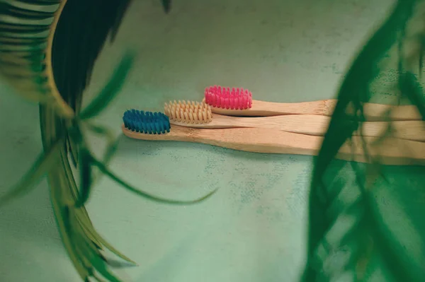 4 bamboe tandenborstels over groene achtergrond en groene Palm blad — Stockfoto