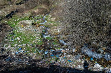 çöplüğü ormanda