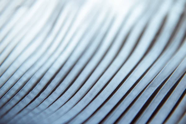 Natural texture of pleated fabric — Stock Photo, Image