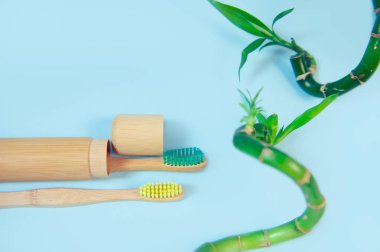 Bambu diş fırçası ve metin alanı ile düz yatıyordu kompozisyon