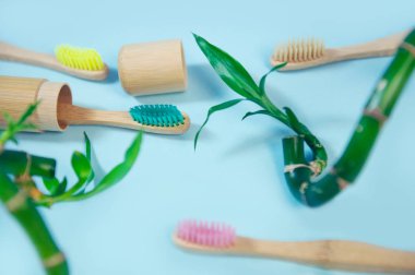 Bambu diş fırçası ve metin alanı ile düz yatıyordu kompozisyon