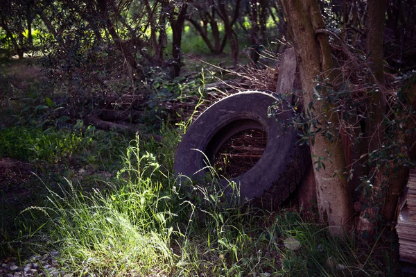 Old car tires wasted in nature