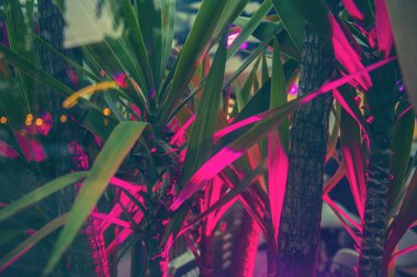 Derin mor pembe palmiye yaprakları desen