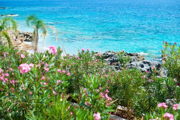 Sziklás strand és kristálytiszta türkizkék víz a Jón-tengeren Albániában. Nyugodt és pihentető kilátás — Stock Fotó