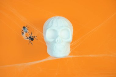 Metin üst görünümü için boş alan ile turuncu Halloween arka plan üzerinde beyaz insan kafatası oyuncak.