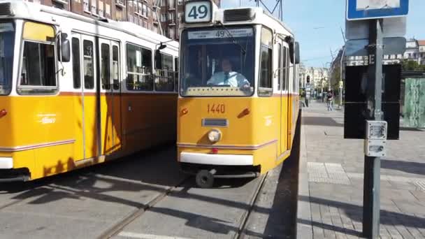ブダペスト、ハンガリーで黄色の近代的なトラム — ストック動画