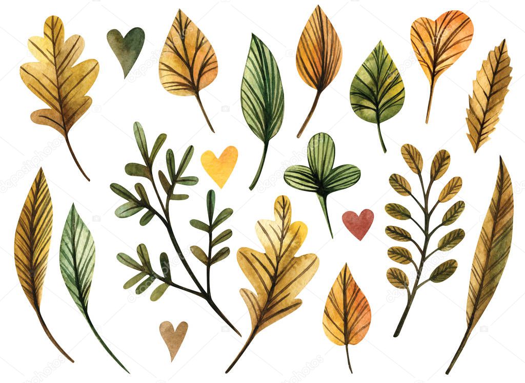 Collection beautiful colorful autumn leaves isolated on white background. Watercolor illustrations.