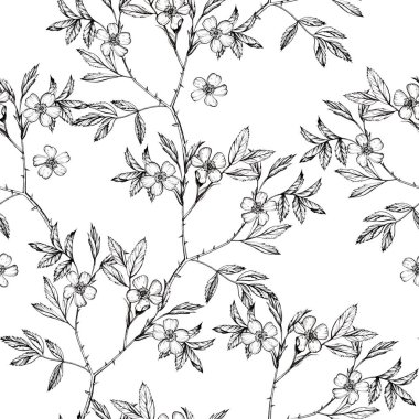 Çeviri: nazo82 Shagrathian