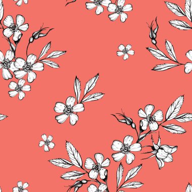 Botanik çizim çiçekler kozmos desen. Düğün masası, selam, duvar kağıdı, moda, arka planlar, sarmalayıcılar, kartlar için Köpek-gül çiçek çizim illüstrasyon ile Dikişsiz çiçek desen arka plan