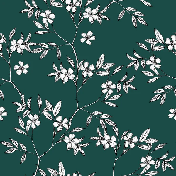 Botanical drawing flowers cosmos pattern. Seamless flower pattern background with Dog-rose flower drawing illustration for wedding table, greetings, wallpaper, fashion, backgrounds, wrappers, cards