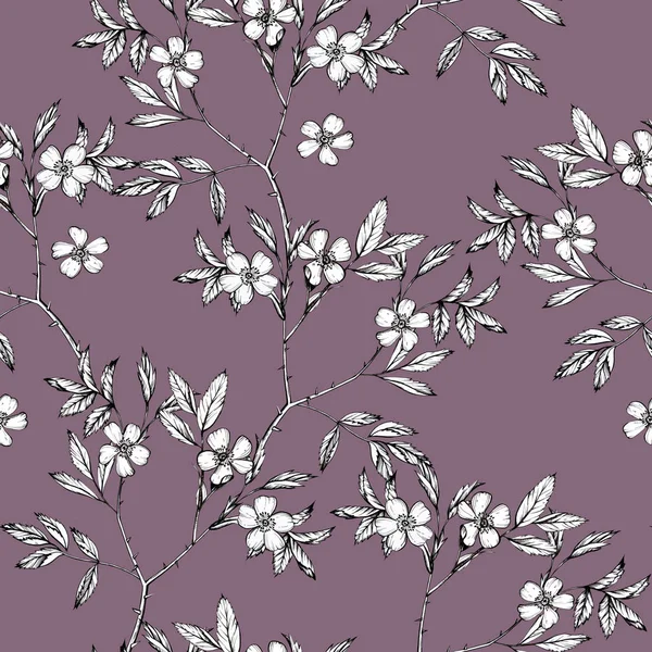 Botanical drawing flowers cosmos pattern. Seamless flower pattern background with Dog-rose flower drawing illustration for wedding table, greetings, wallpaper, fashion, backgrounds, wrappers, cards